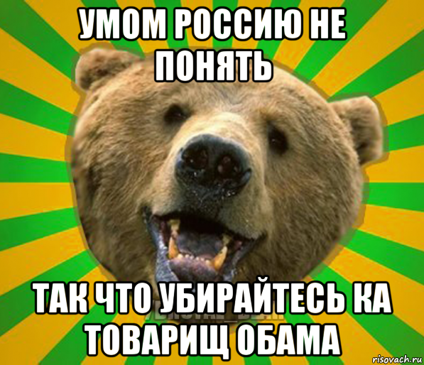 умом россию не понять так что убирайтесь ка товарищ обама, Мем Нелепый медведь