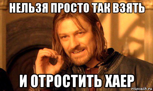 нельзя просто так взять и отростить хаер, Мем Нельзя просто так взять и (Боромир мем)