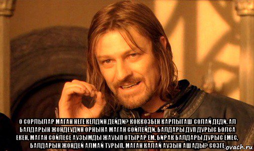  о сорлылар маган неге келдин дейди? коккозбен карлыгаш солай деди. ал балдарын жондеудин орнына маган сойлейди. балдары дуп дурыс болса екен, маган сойлесе аузымды жауып отырар ем. бирак балдары дурыс емес, балдарын жондей алмай турып, маган калай аузын ашады? созге, Мем Нельзя просто так взять и (Боромир мем)