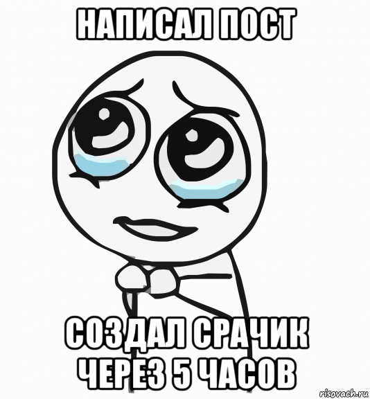 написал пост создал срачик через 5 часов, Мем  ну пожалуйста (please)