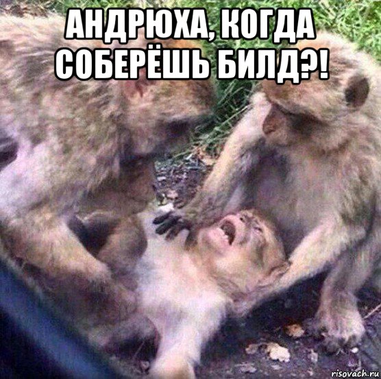 андрюха, когда соберёшь билд?! 