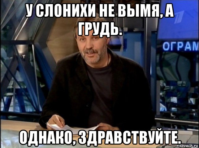 у слонихи не вымя, а грудь. однако, здравствуйте., Мем Однако Здравствуйте