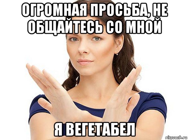 огромная просьба, не общайтесь со мной я вегетабел, Мем Огромная просьба