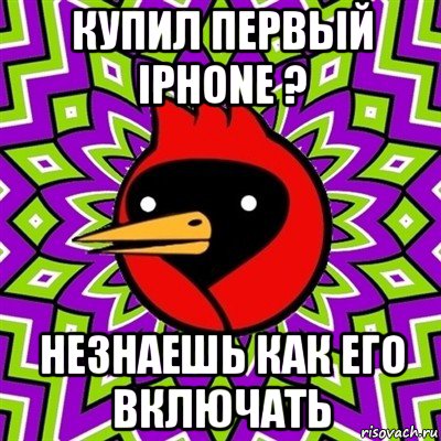 купил первый iphone ? незнаешь как его включать, Мем Омская птица