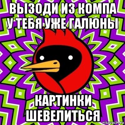 вызоди из компа у тебя уже галюны картинки шевелиться, Мем Омская птица