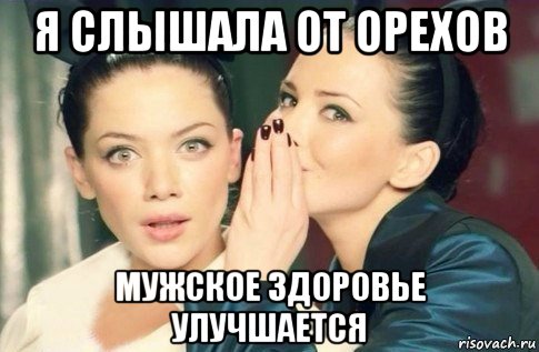 я слышала от орехов мужское здоровье улучшается, Мем  Он