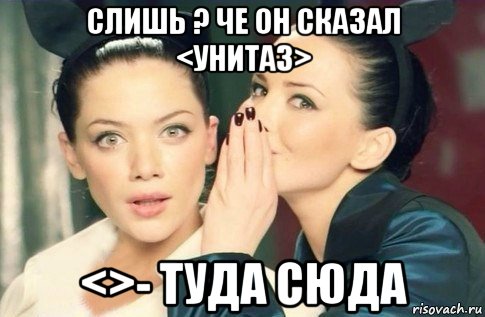 слишь ? че он сказал <унитаз> <>- туда сюда, Мем  Он