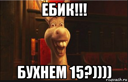 ебик!!! бухнем 15?)))), Мем Осел из Шрека