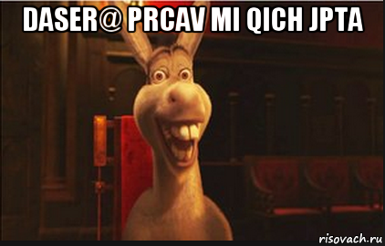 daser@ prcav mi qich jpta , Мем Осел из Шрека