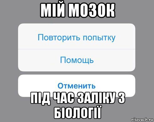 мій мозок під час заліку з біології, Мем Отменить Помощь Повторить попытку