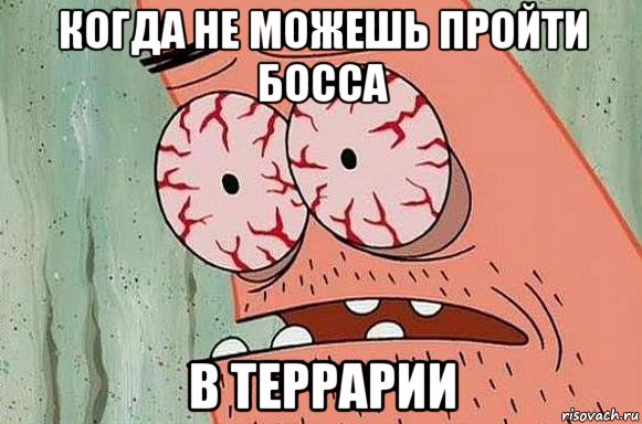 когда не можешь пройти босса в террарии, Мем  Патрик в ужасе