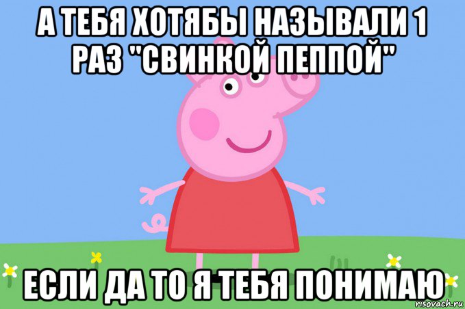 а тебя хотябы называли 1 раз "свинкой пеппой" если да то я тебя понимаю, Мем Пеппа