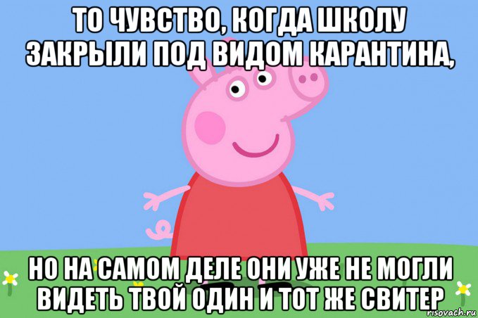 то чувство, когда школу закрыли под видом карантина, но на самом деле они уже не могли видеть твой один и тот же свитер, Мем Пеппа