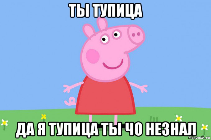 ты тупица да я тупица ты чо незнал, Мем Пеппа