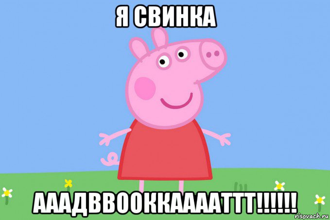 я свинка ааадввооккааааттт!!!!!!, Мем Пеппа