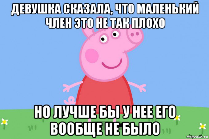 девушка сказала, что маленький член это не так плохо но лучше бы у нее его вообще не было, Мем Пеппа