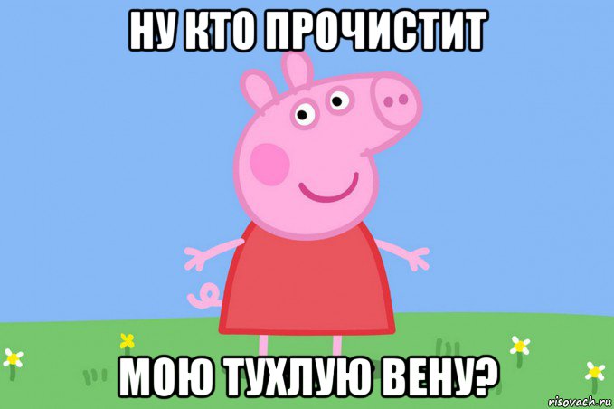 ну кто прочистит мою тухлую вену?, Мем Пеппа