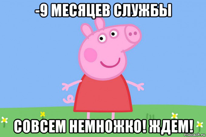 -9 месяцев службы совсем немножко! ждем!, Мем Пеппа