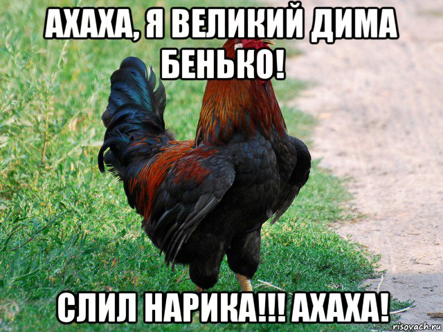 ахаха, я великий дима бенько! слил нарика!!! ахаха!