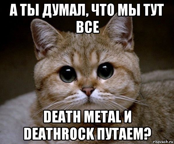 а ты думал, что мы тут все death metal и deathrock путаем?, Мем Пидрила Ебаная