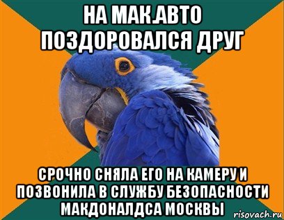 на мак.авто поздоровался друг срочно сняла его на камеру и позвонила в службу безопасности макдоналдса москвы, Мем Попугай параноик