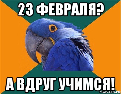 23 февраля? а вдруг учимся!