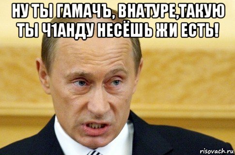 ну ты гамачъ, внатуре,такую ты ч1анду несёшь жи есть! , Мем путин