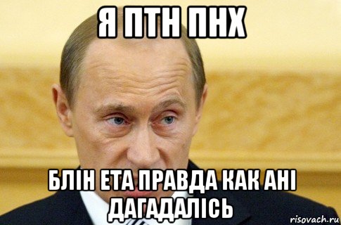 я птн пнх блін ета правда как ані дагадалісь, Мем путин