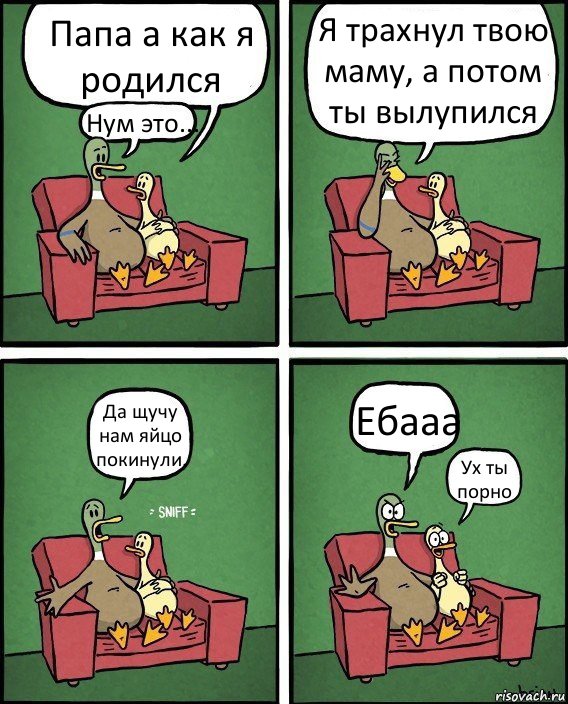 Папа а как я родился Нум это... Я трахнул твою маму, а потом ты вылупился Да щучу нам яйцо покинули. Ебааа Ух ты порно, Комикс  Разговор уток