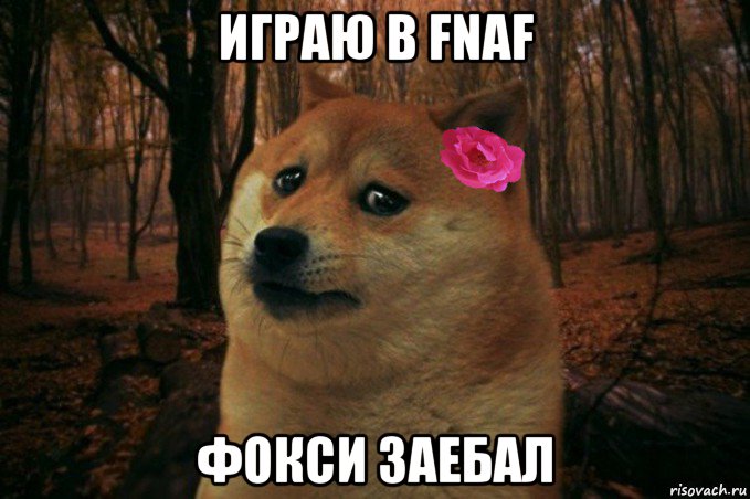 играю в fnaf фокси заебал, Мем  SAD DOGE GIRL