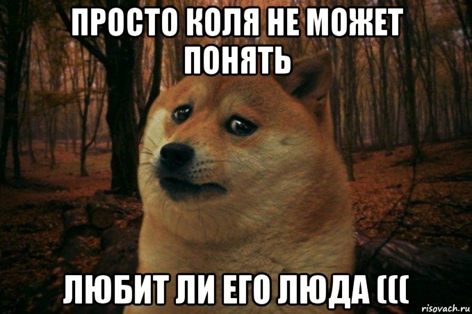 просто коля не может понять любит ли его люда (((, Мем SAD DOGE