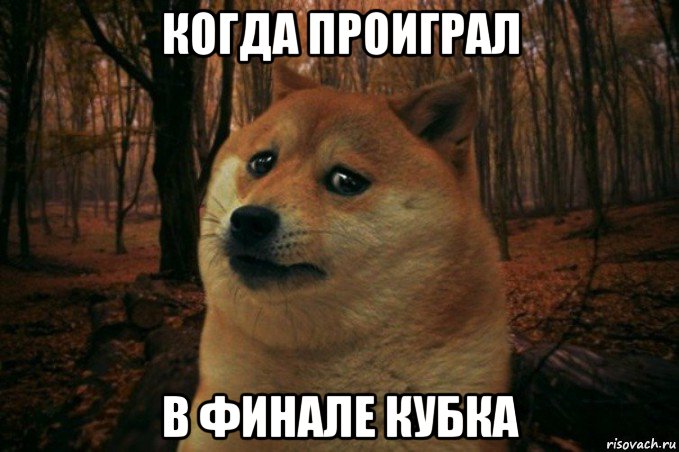 когда проиграл в финале кубка, Мем SAD DOGE