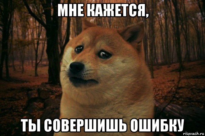 мне кажется, ты совершишь ошибку, Мем SAD DOGE