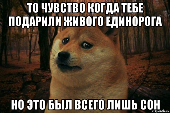 то чувство когда тебе подарили живого единорога но это был всего лишь сон, Мем SAD DOGE