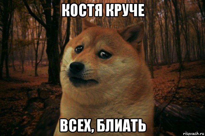 костя круче всех, блиать, Мем SAD DOGE