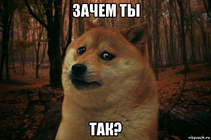 зачем ты так?, Мем SAD DOGE