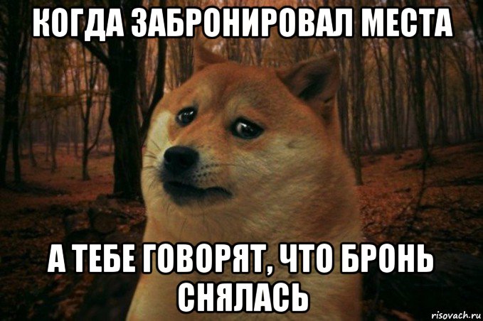 когда забронировал места а тебе говорят, что бронь снялась, Мем SAD DOGE