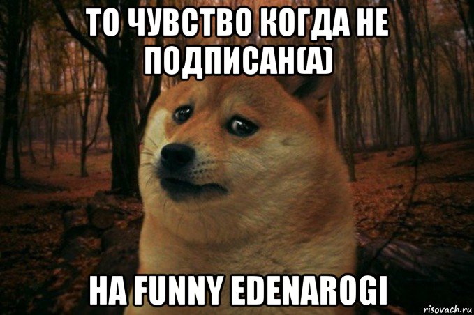 то чувство когда не подписан(а) на funny edenarogi, Мем SAD DOGE