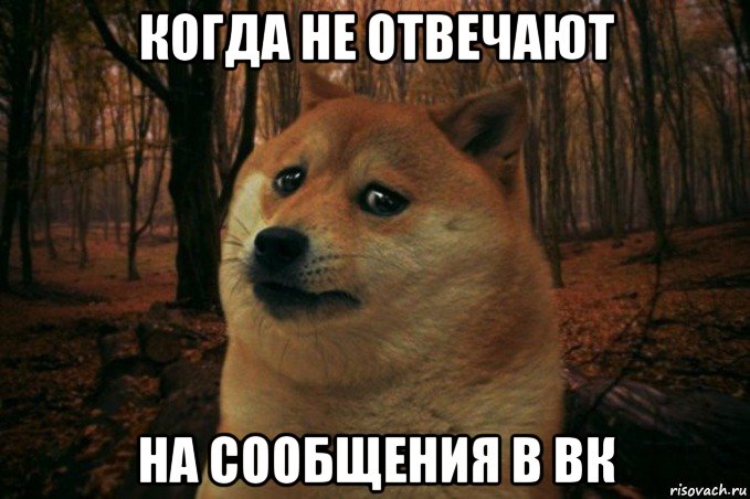 когда не отвечают на сообщения в вк, Мем SAD DOGE