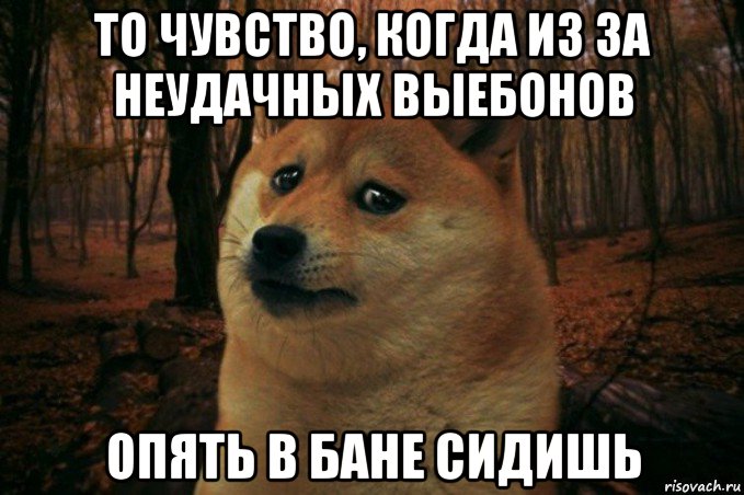 то чувство, когда из за неудачных выебонов опять в бане сидишь, Мем SAD DOGE