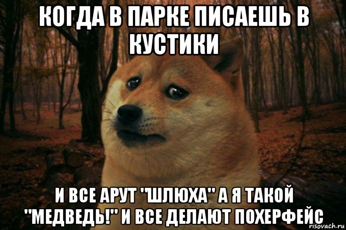 когда в парке писаешь в кустики и все арут "шлюха" а я такой "медведь!" и все делают похерфейс, Мем SAD DOGE