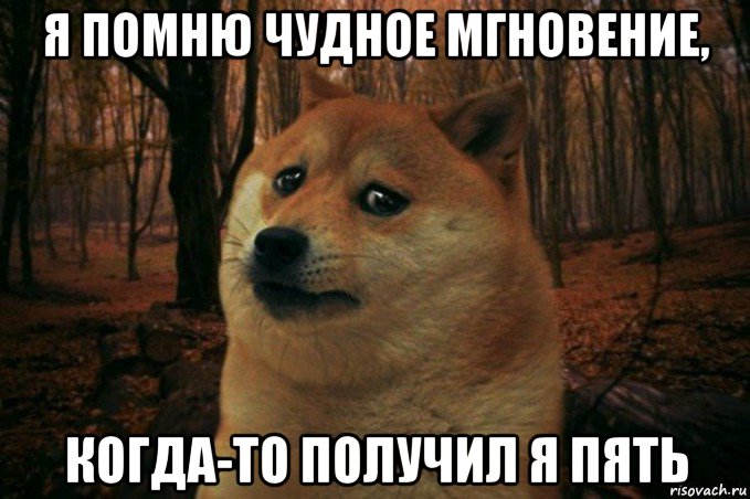 я помню чудное мгновение, когда-то получил я пять, Мем SAD DOGE