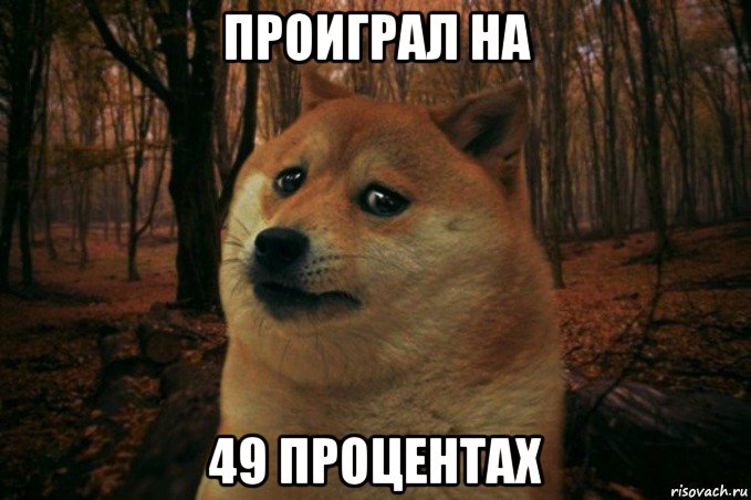 проиграл на 49 процентах, Мем SAD DOGE