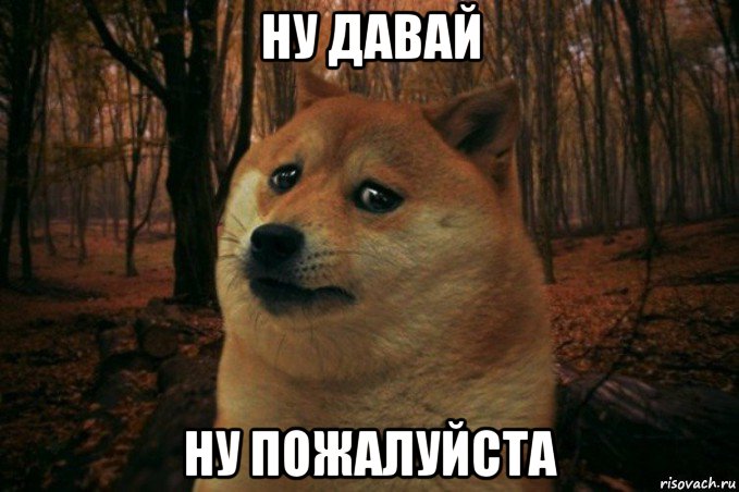 ну давай ну пожалуйста, Мем SAD DOGE