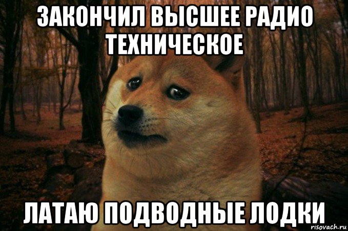 закончил высшее радио техническое латаю подводные лодки, Мем SAD DOGE