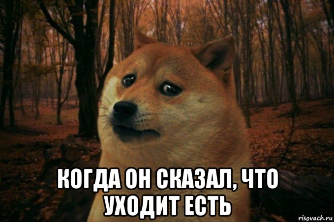  когда он сказал, что уходит есть, Мем SAD DOGE