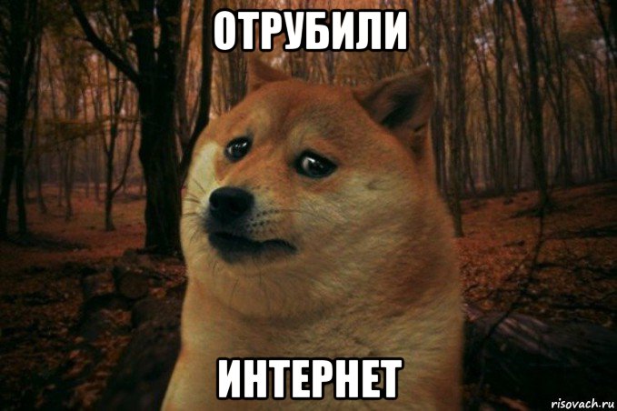 отрубили интернет, Мем SAD DOGE