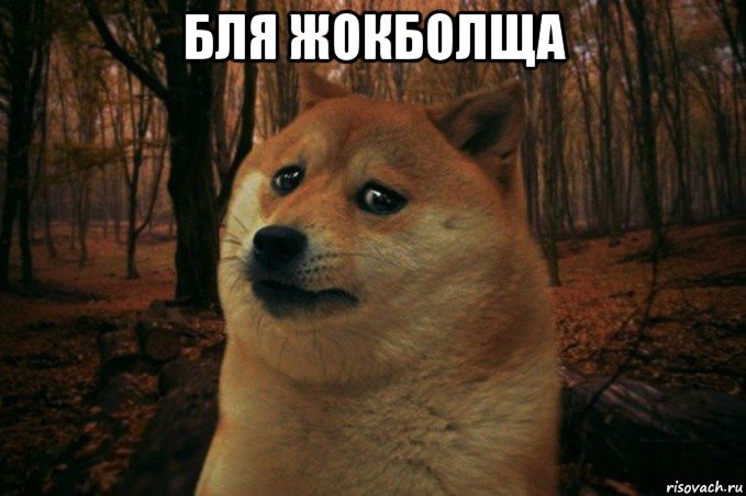 бля жокболща , Мем SAD DOGE