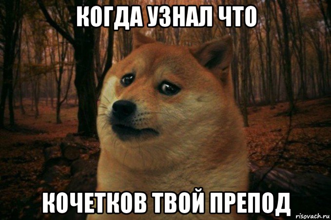 когда узнал что кочетков твой препод, Мем SAD DOGE