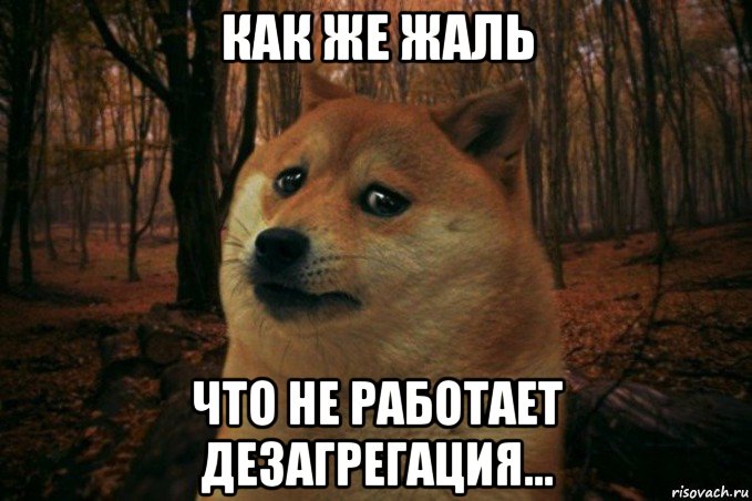 как же жаль что не работает дезагрегация..., Мем SAD DOGE